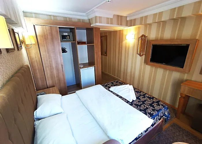 Hamit - Special Category