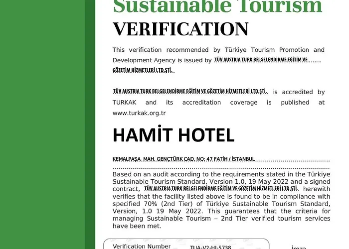 Hamit - Special Category